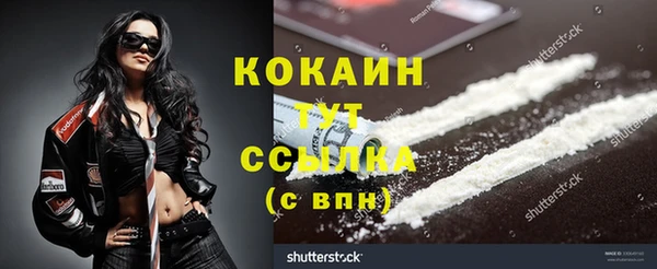PSILOCYBIN Каменногорск