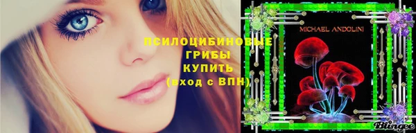 метамфетамин Каменск-Шахтинский