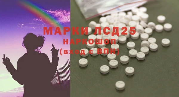 PSILOCYBIN Каменногорск