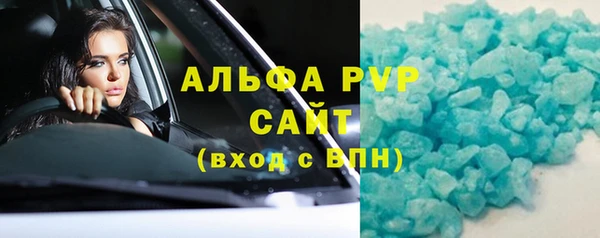 PSILOCYBIN Каменногорск