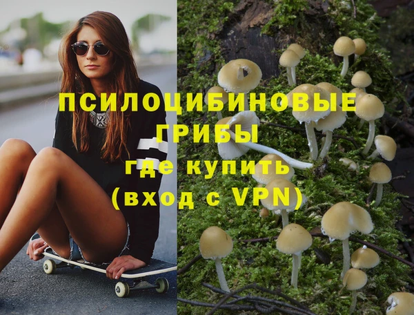 ECSTASY Каменка