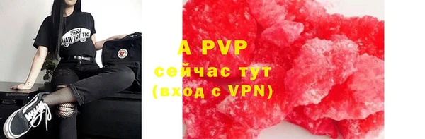 ECSTASY Каменка