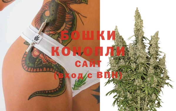 ECSTASY Каменка