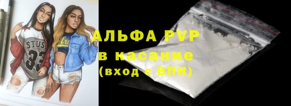 PSILOCYBIN Каменногорск