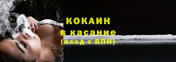 PSILOCYBIN Каменногорск
