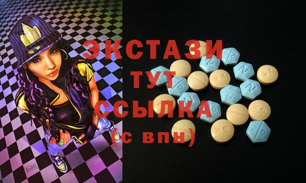 ECSTASY Каменка