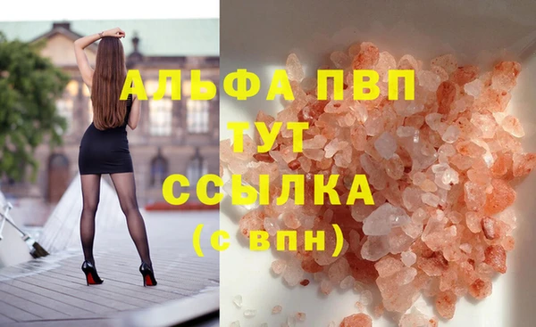 ECSTASY Каменка