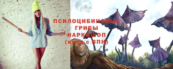 ECSTASY Каменка