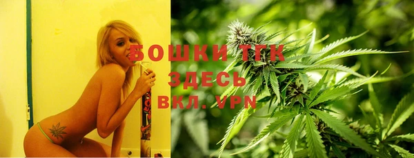 ECSTASY Каменка